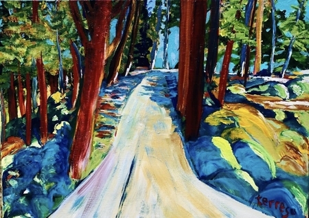 A Pathway on Mayne Island
