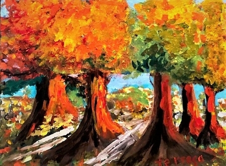 Morning Maples